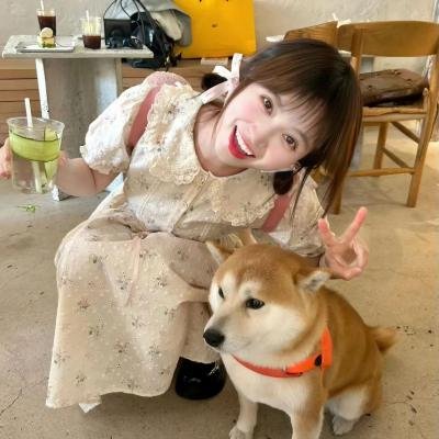 笨贼向前冲